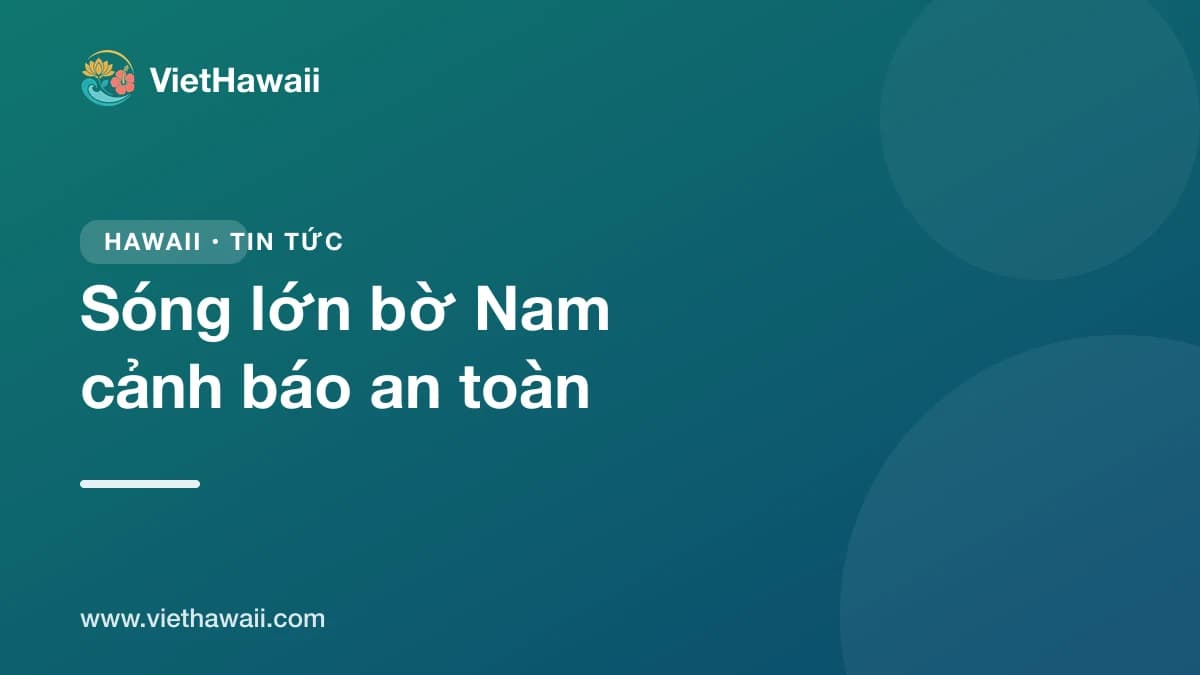 Sóng lớn bờ Nam 2.4 đến 3.7 mét: cảnh báo an toàn khi xuống biển ở Oahu