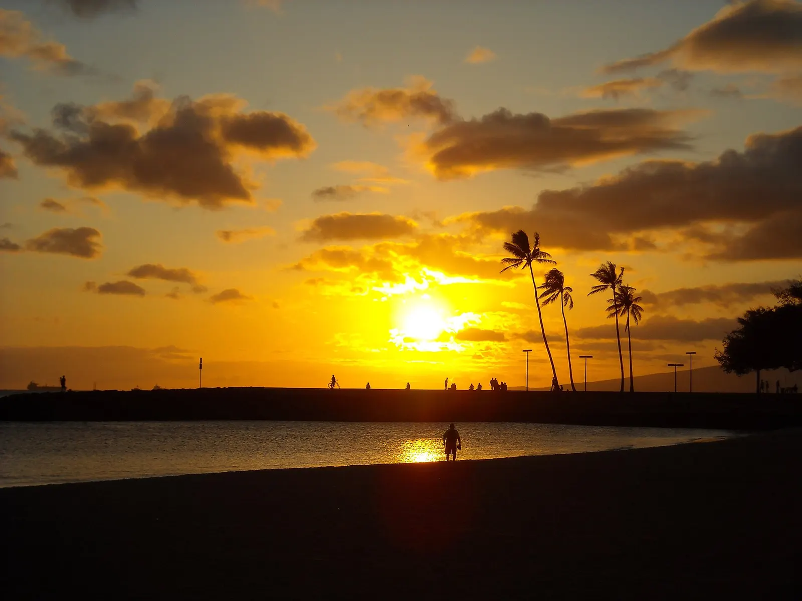Hoàng hôn trên hồ Magic Island với hàng cọ ở Ala Moana